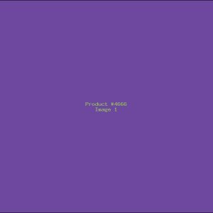 Example Product 4666