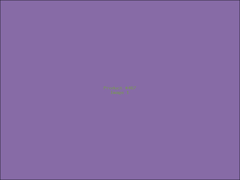 Example Product 467