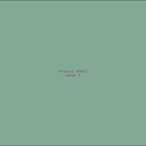 Example Product 4687
