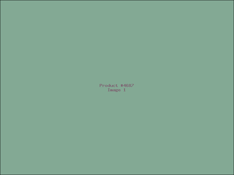 Example Product 4687
