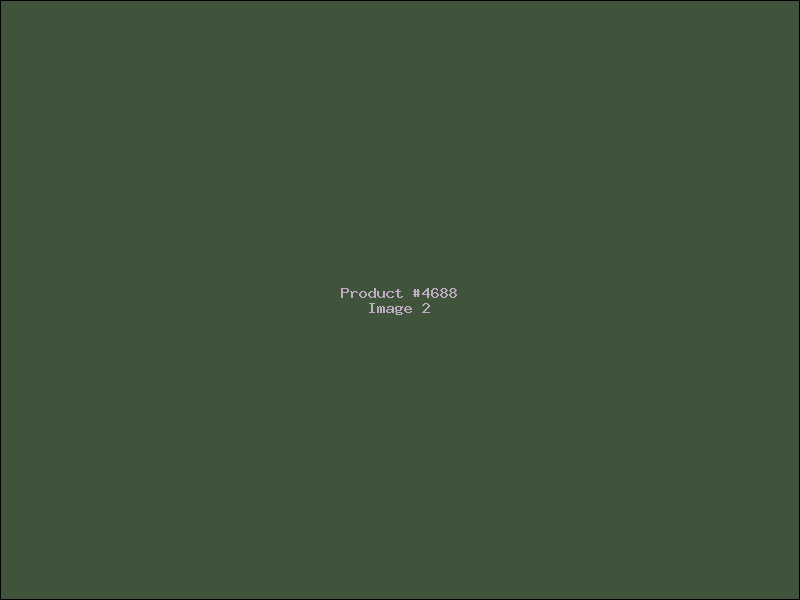 Example Product 4688 - Image 2