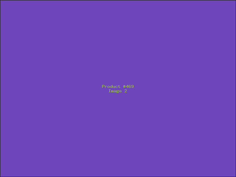 Example Product 469 - Image 2