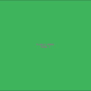 Example Product 4691