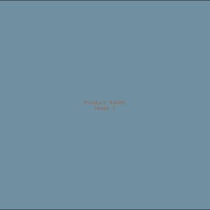 Example Product 4694