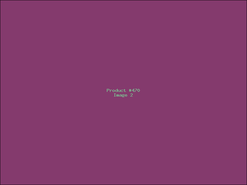 Example Product 470 - Image 2