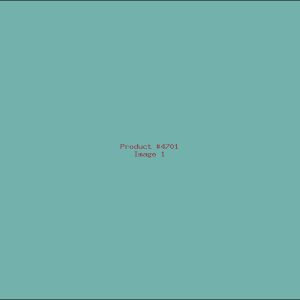 Example Product 4701
