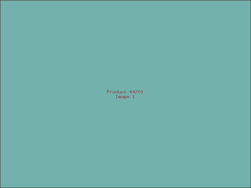 Example Product 4701