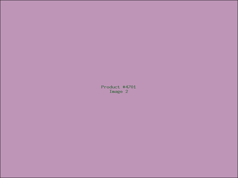 Example Product 4701 - Image 2