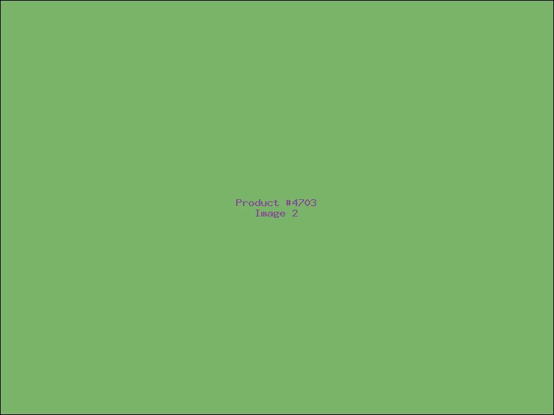 Example Product 4703 - Image 2