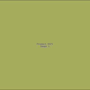Example Product 471