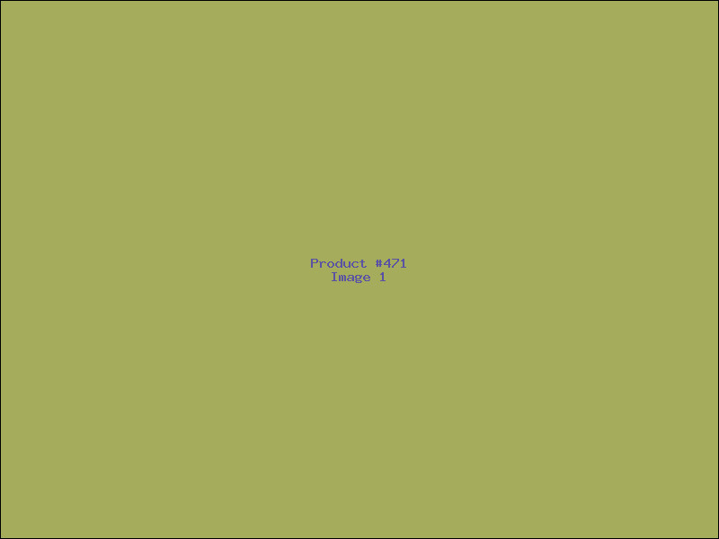 Example Product 471