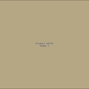 Example Product 4719