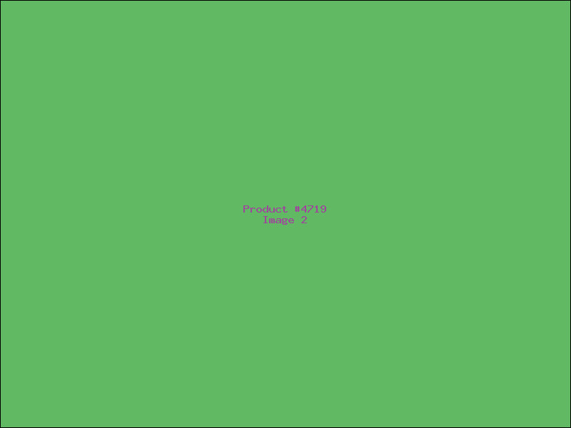 Example Product 4719 - Image 2