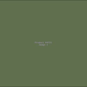Example Product 4721