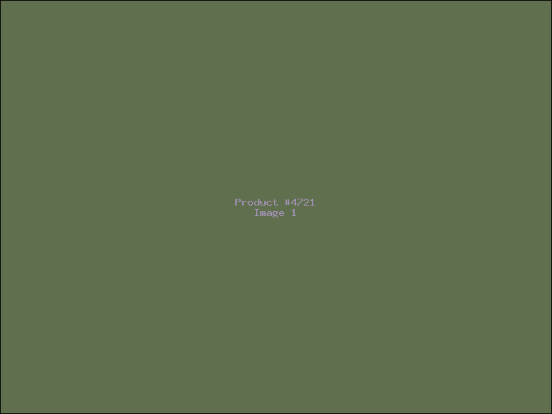 Example Product 4721