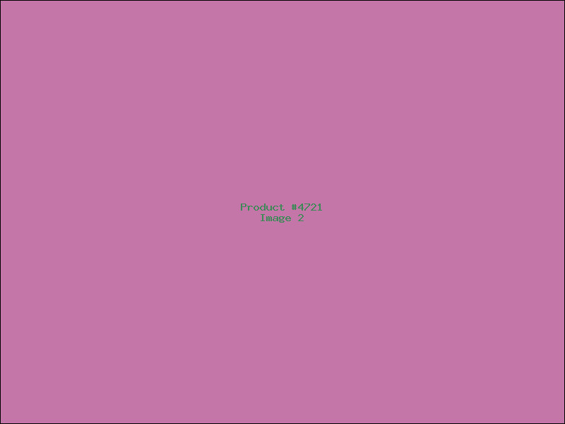 Example Product 4721 - Image 2