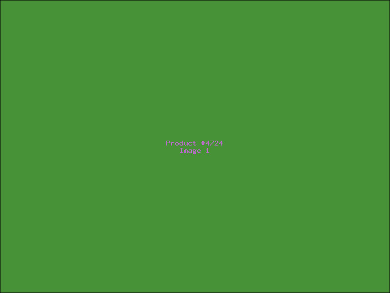 Example Product 4724