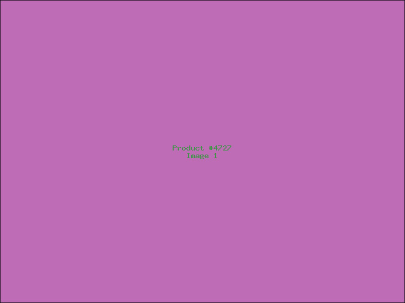 Example Product 4727