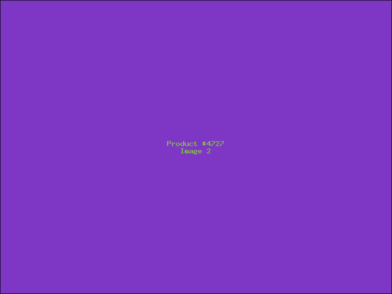 Example Product 4727 - Image 2