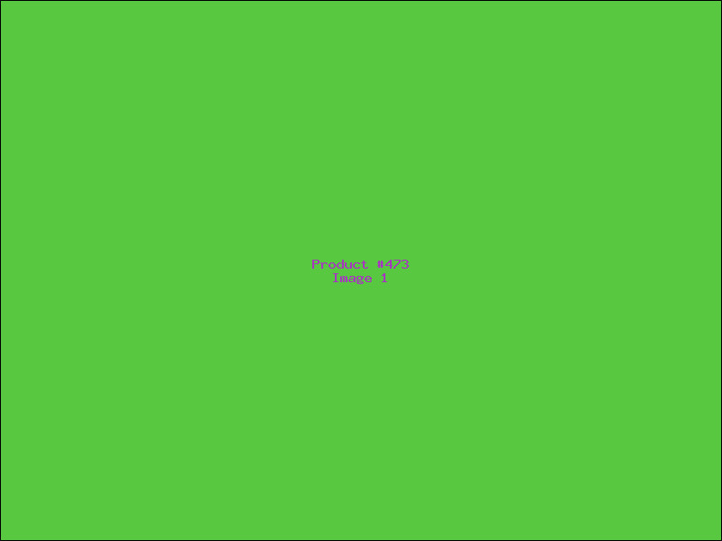 Example Product 473