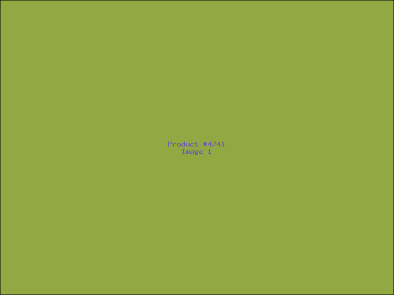 Example Product 4741