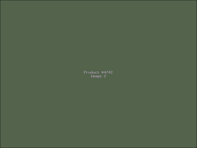 Example Product 4742 - Image 2