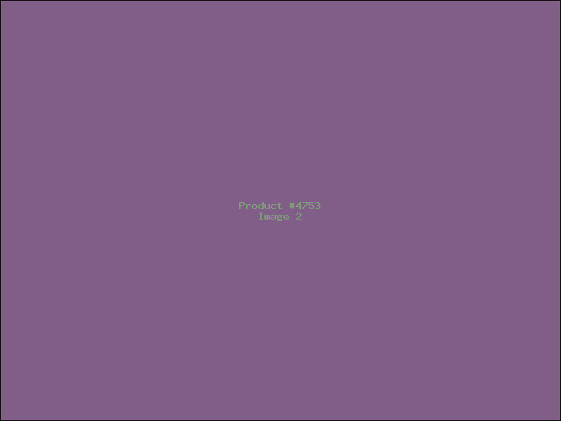 Example Product 4753 - Image 2