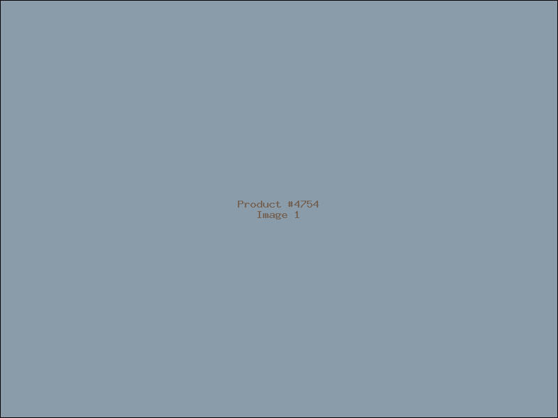 Example Product 4754