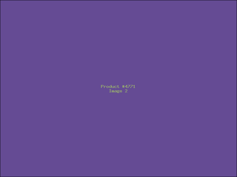 Example Product 4771 - Image 2