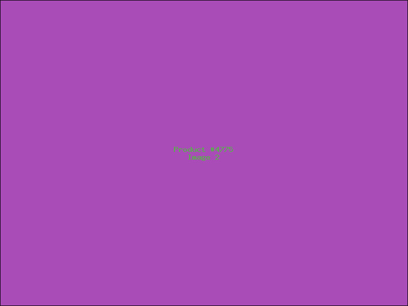Example Product 4775 - Image 2