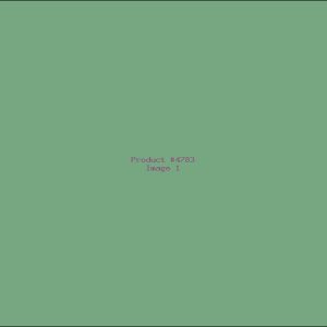 Example Product 4783