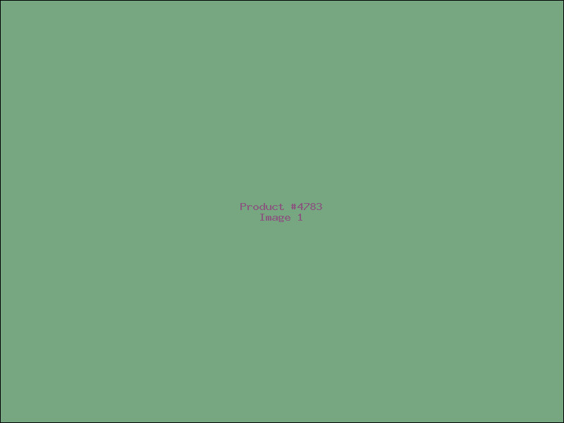 Example Product 4783