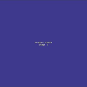 Example Product 4785