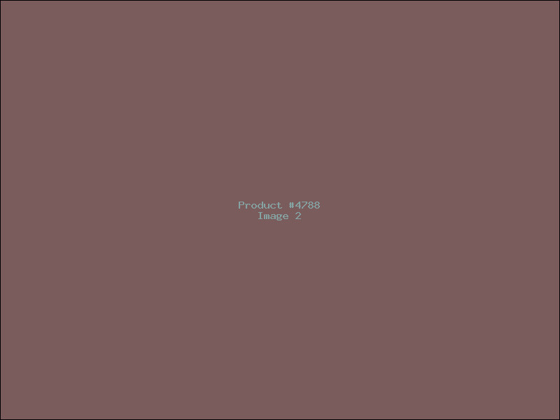 Example Product 4788 - Image 2