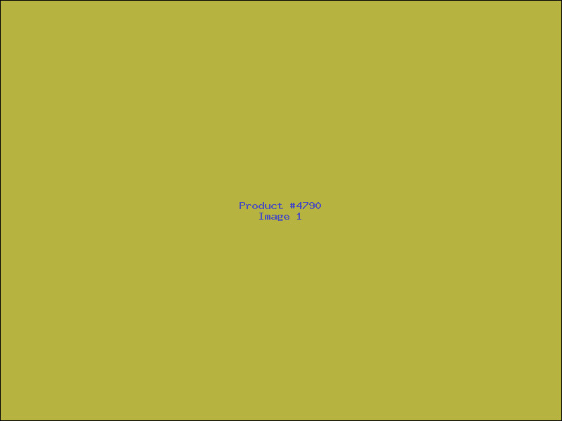 Example Product 4790