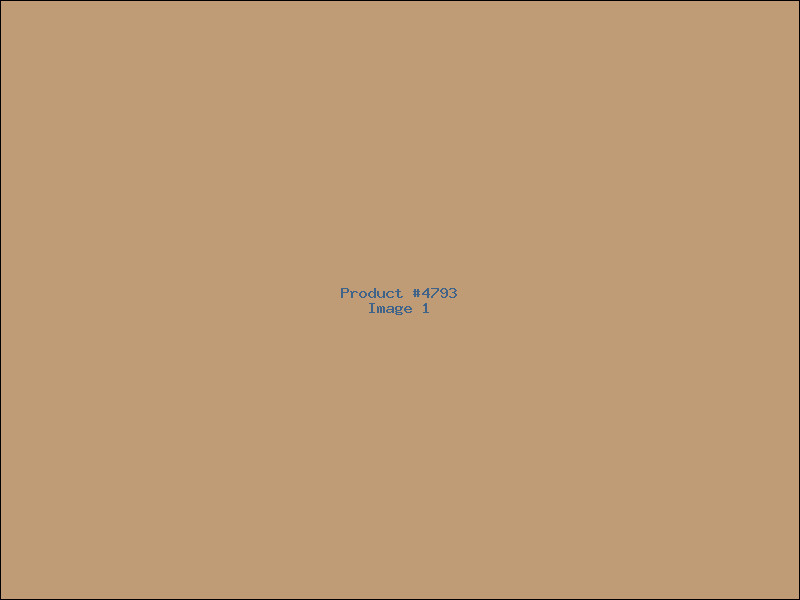 Example Product 4793