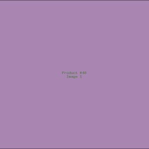 Example Product 48