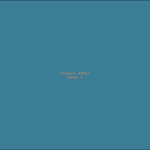 Example Product 4813