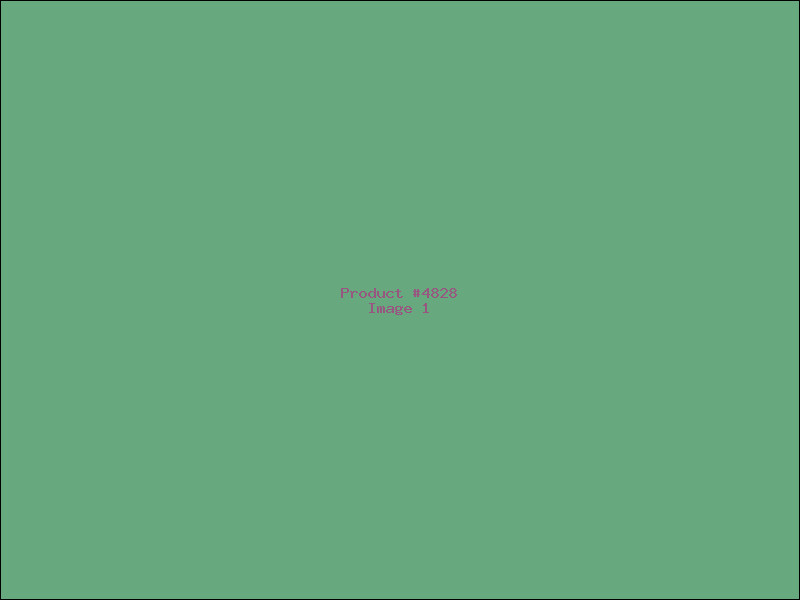 Example Product 4828