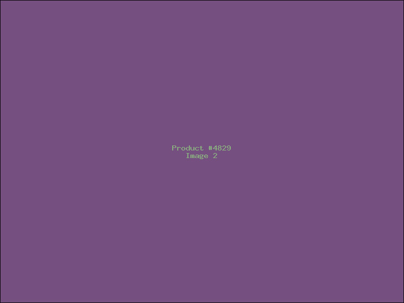 Example Product 4829 - Image 2
