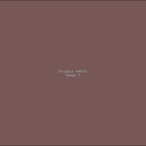 Example Product 4831
