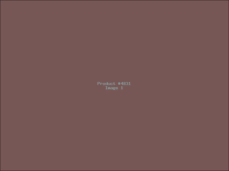 Example Product 4831