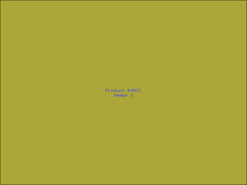 Example Product 4831 - Image 2