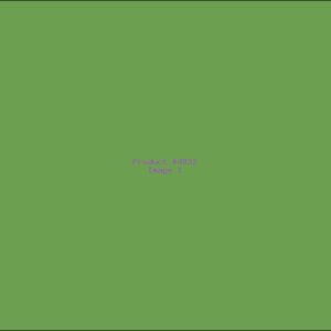 Example Product 4832