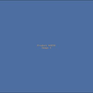 Example Product 4838