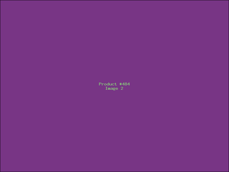 Example Product 484 - Image 2