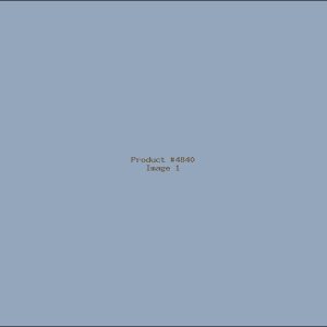 Example Product 4840