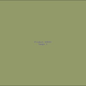 Example Product 4843
