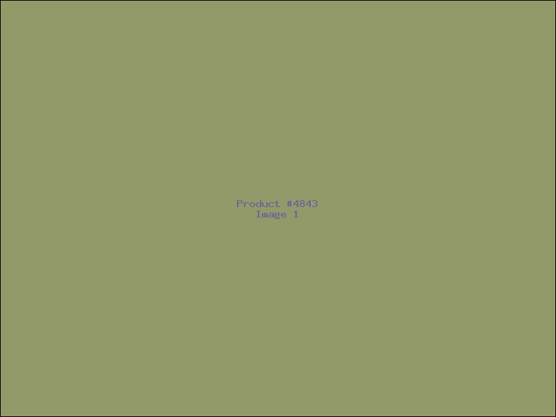 Example Product 4843