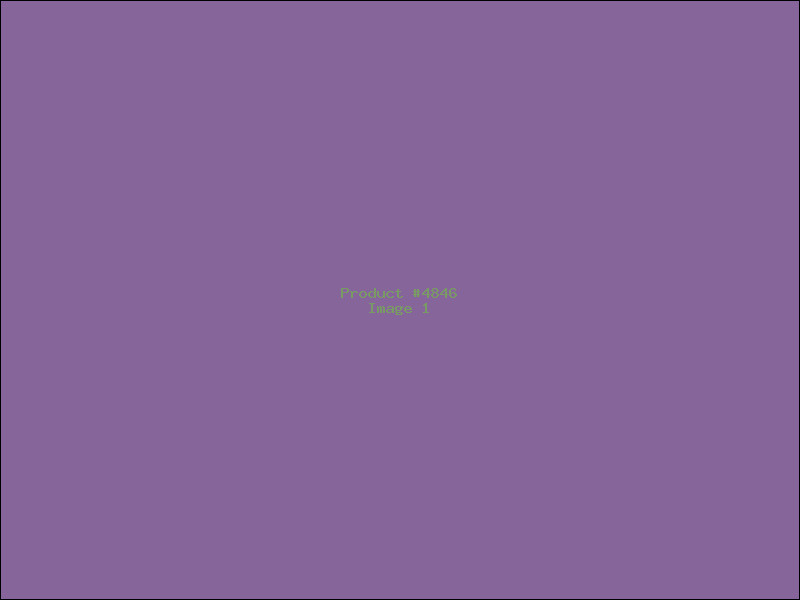Example Product 4846